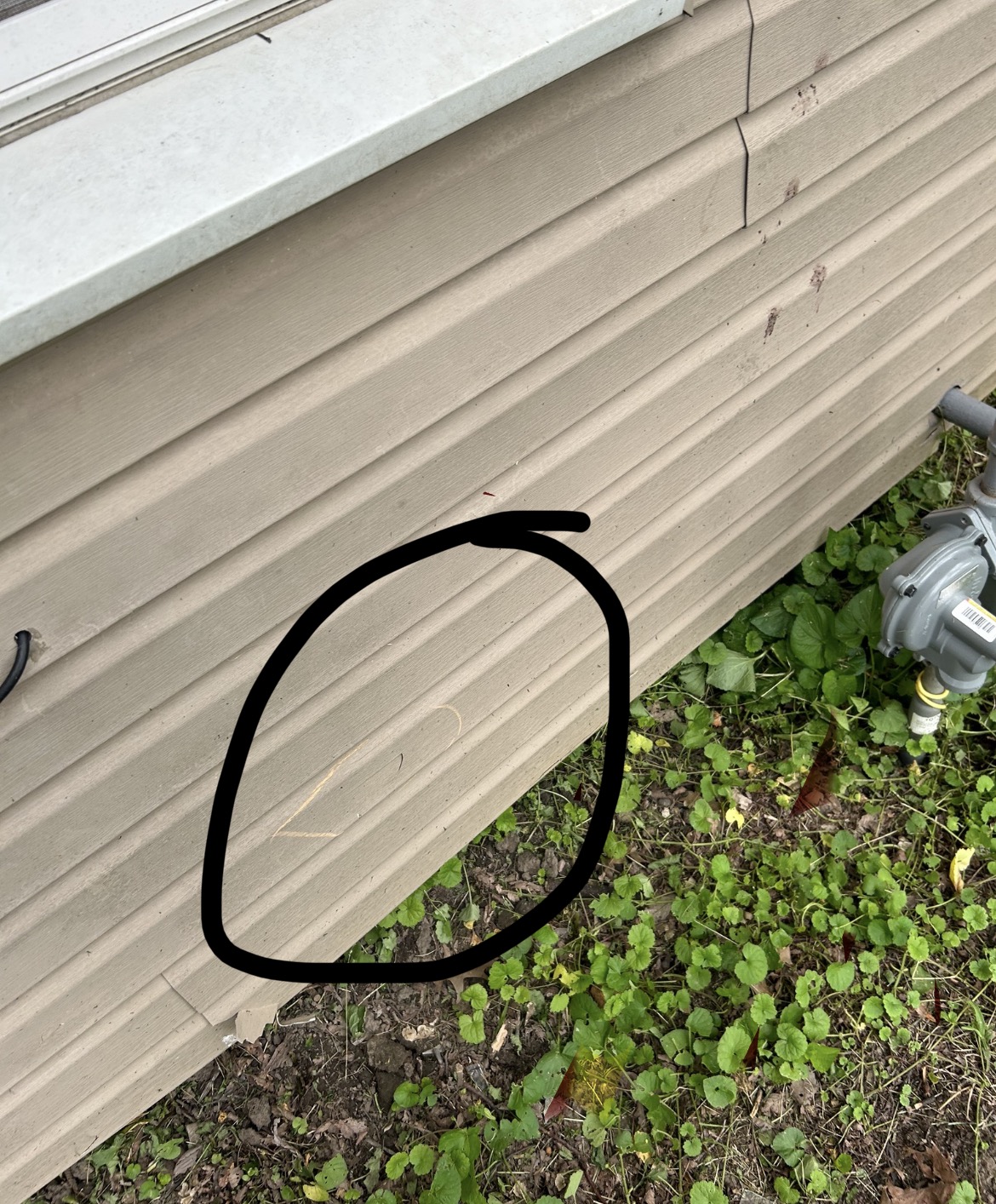 Vinyl siding damage from 3 inch hail