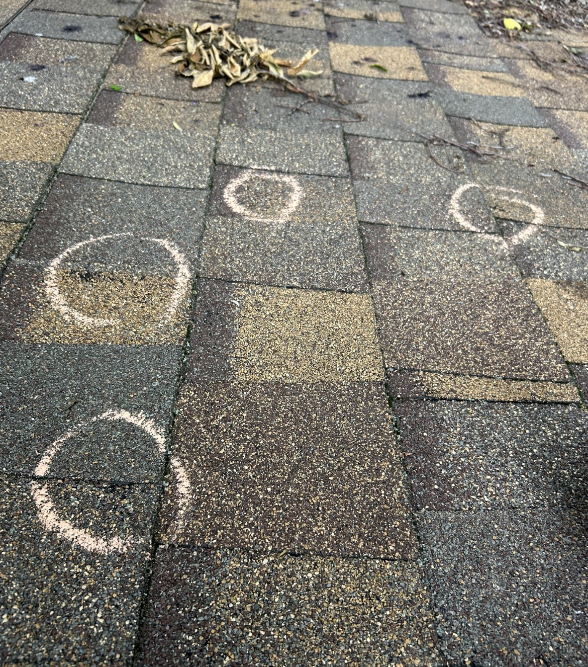 Dimensional shingle damage from 3 inch hail on a 4 year old roof