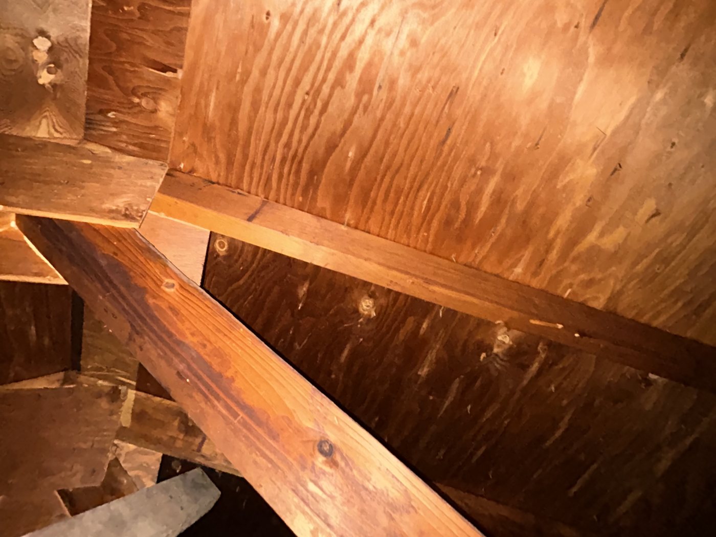 Underside of older plywood sheet roof decking viewed from an attic, with the sheet below the rafter noticeably darker and more discolored than the one above it