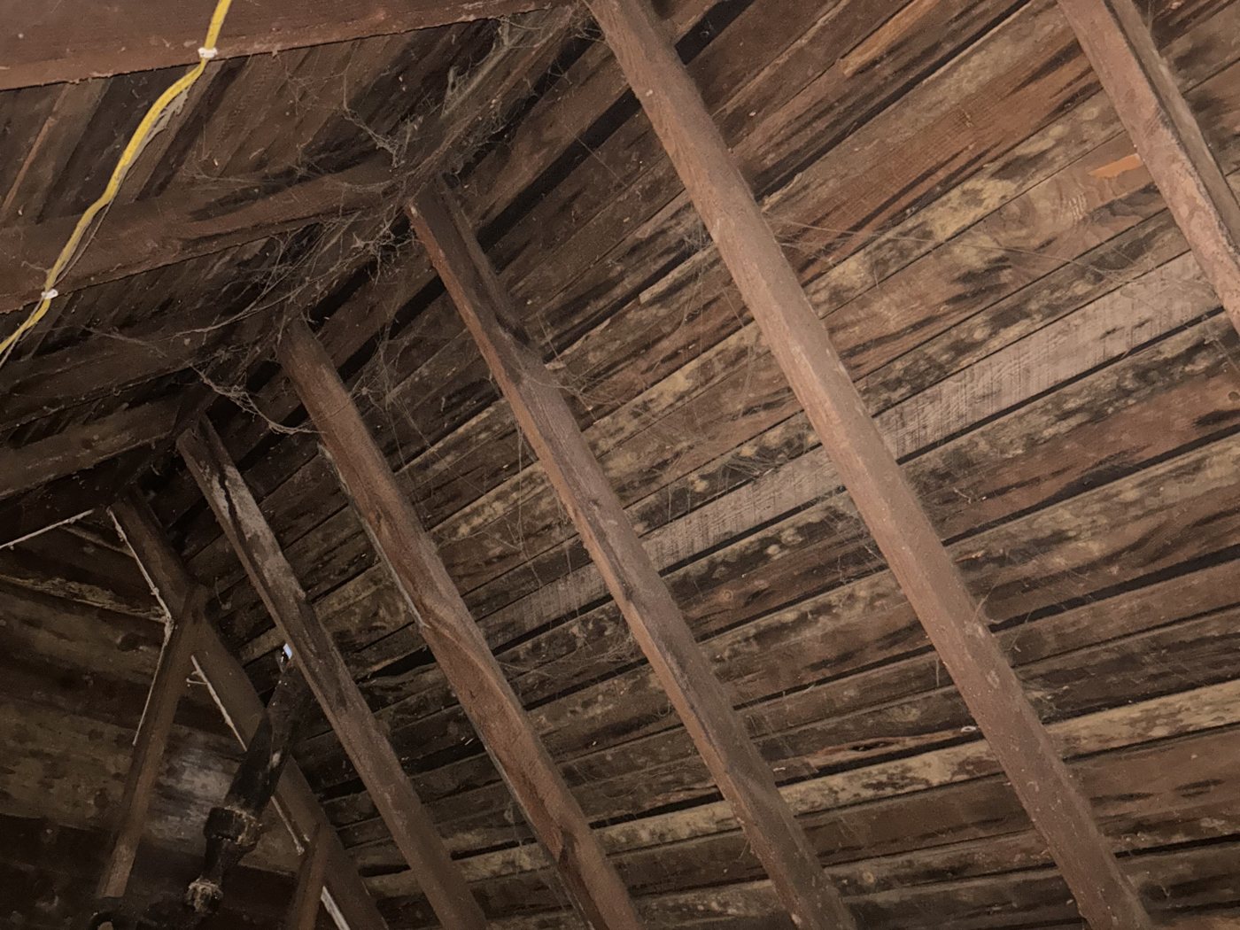 Wide view from inside an attic showing spaced board roof decking, with visible gaps between each plank running up the rafters